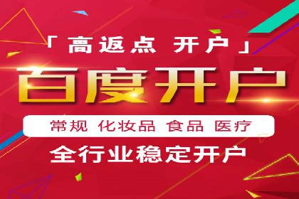 某企业通过SEO和SEM双管齐下实现业绩飞跃的案例