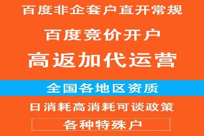 竞价广告的投放策略调整：基于数据反馈的实战案例